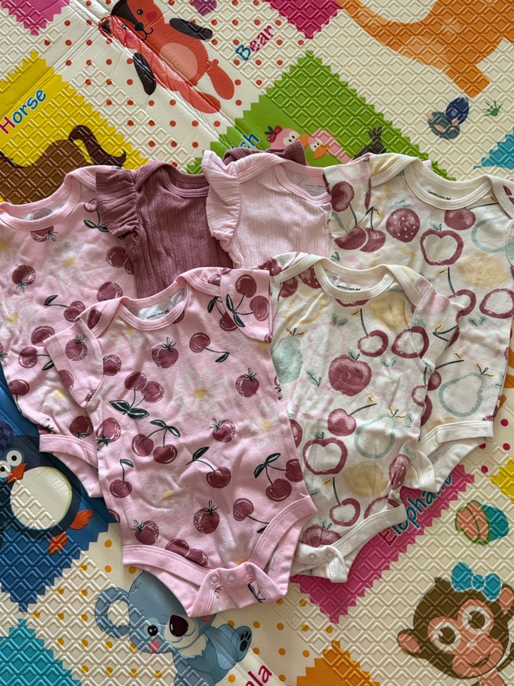 6 Organic Cotton Baby Girl One-Piece Bodysuits